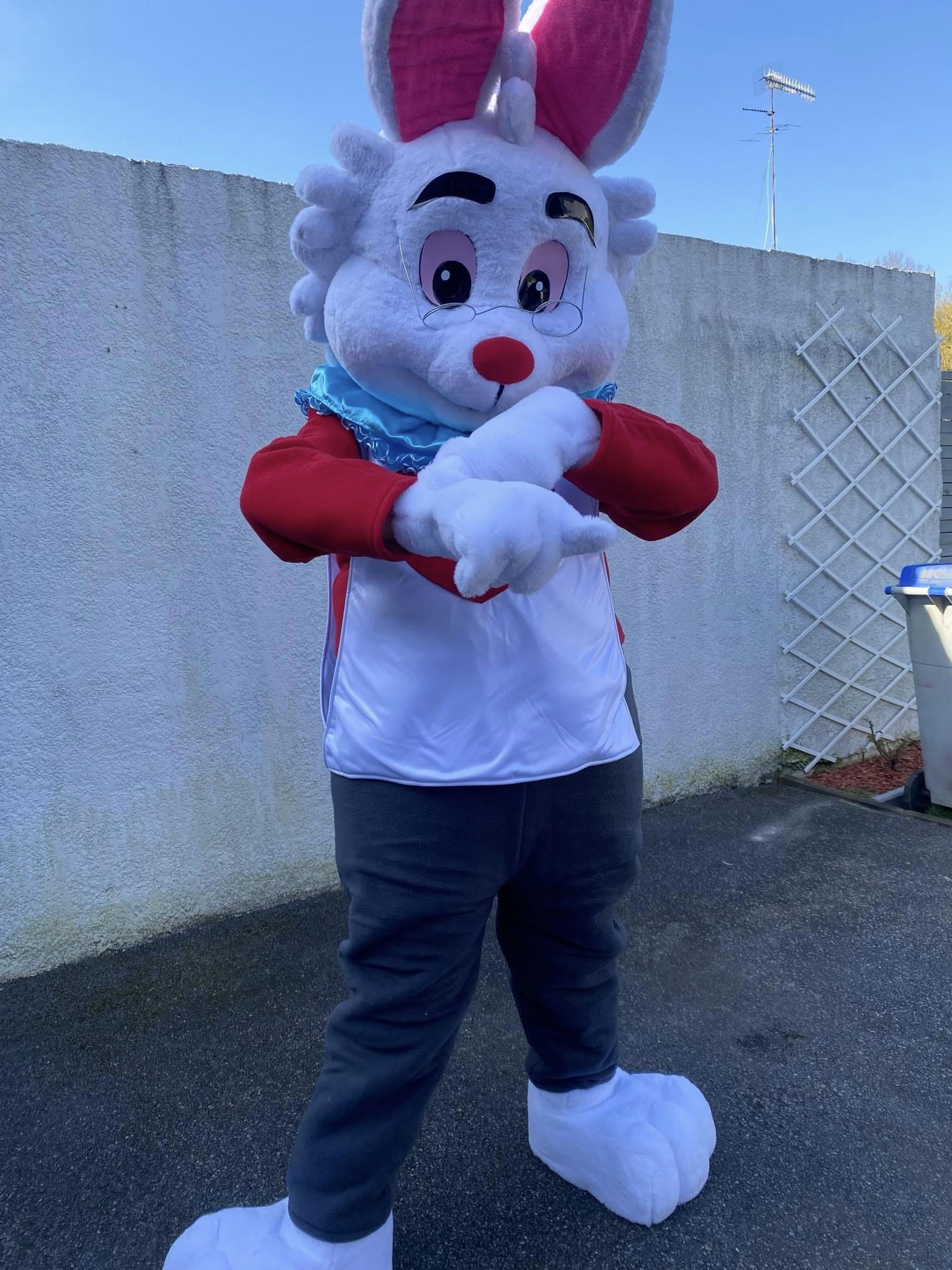lapin1