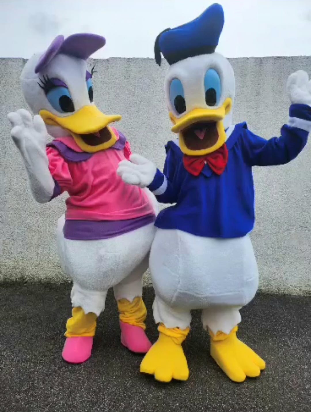 donald